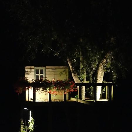 קורטרייק B&B The View Bis מראה חיצוני תמונה